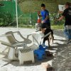 Desarollo olfattivo 2016